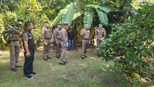 419713941 775996007897286 4787600069038414869 n